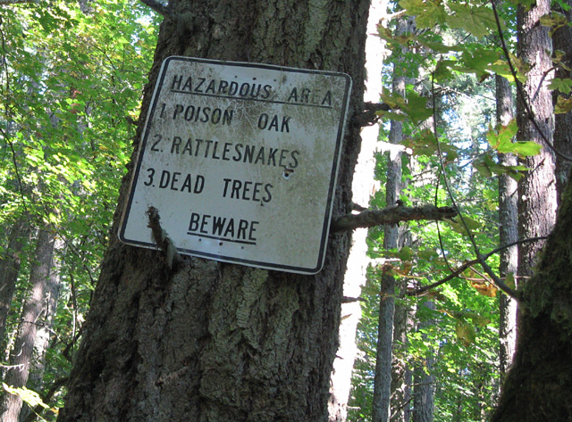 hazardous area poison oak rattlesnakes dead trees beware